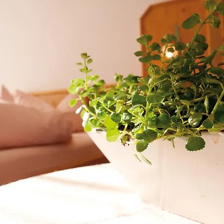 Haus Gerlinde Guest house 3*